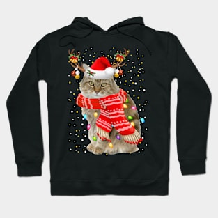 Ragamuffin Cat Christmas Hoodie